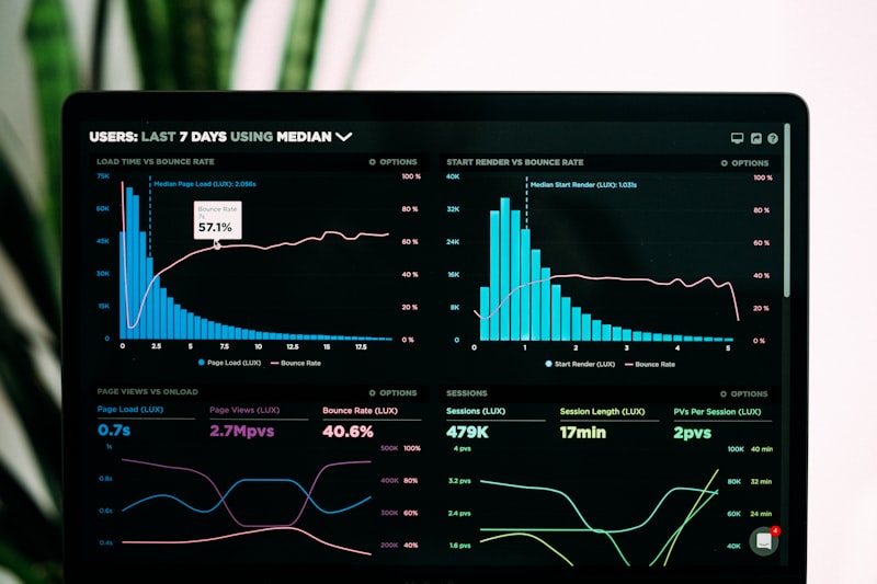 Custom vs SaaS